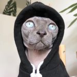 Profile picture of DIOBO