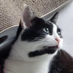 Profile picture of ricklptn