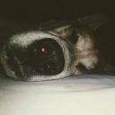 Profile picture of A Bogues