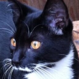 Profile picture of Trevor