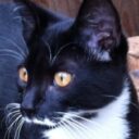 Profile picture of Trevor