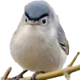 Profile picture of Buttsuckles