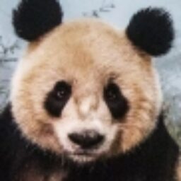 Profile picture of Peter