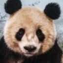 Profile picture of Peter
