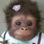 Profile picture of marcos