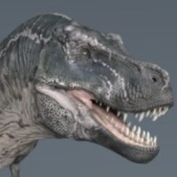 Profile picture of Rafael Peter
