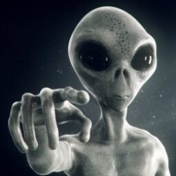 Profile picture of kamalah