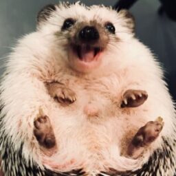 Profile picture of ecrater