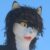 Profile picture of Fisk