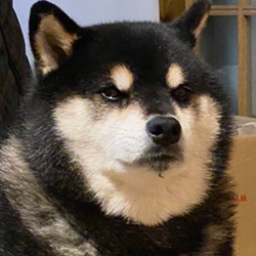 Profile picture of Haiseki