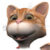 Profile picture of Farid