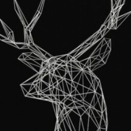 Profile picture of Oskar R.
