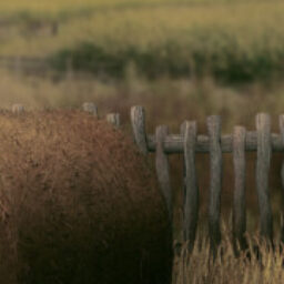 Profile picture of Edward