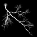 Profile picture of Ficus