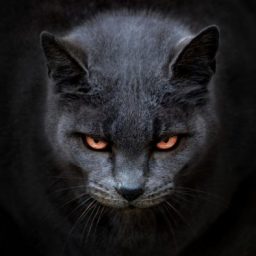 Profile picture of Sellet