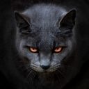 Profile picture of Sellet