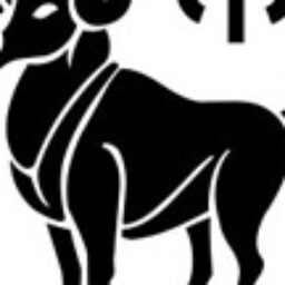 Profile picture of Xavier Lopez