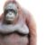Profile picture of tusker