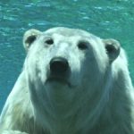 Profile picture of Runspace