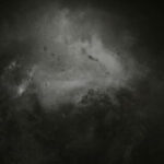 Profile picture of Altrn8er