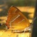 Profile picture of Rodney