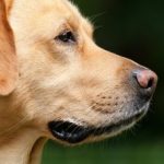 Profile picture of JaJaJaJa