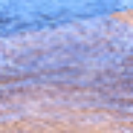 Profile picture of Shipr