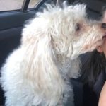 Profile picture of emme