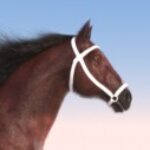 Profile picture of jparodist