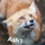 Profile picture of Mrewberry
