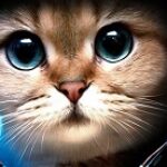 Profile picture of Mattsaku