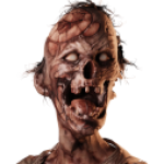Profile picture of espert2