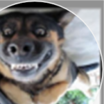 Profile picture of LordJerle