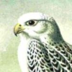 Profile picture of Mako