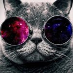 Profile picture of vnosxp