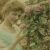 Profile picture of Morwenna