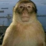 Profile picture of TT1