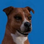 Profile picture of RippedSpagetti