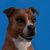 Profile picture of RippedSpagetti