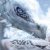 Profile picture of Dragonrose0
