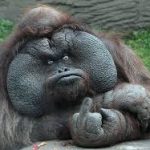 Profile picture of JinIce