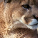 Profile picture of lee