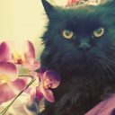 Profile picture of Tina