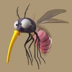 Profile picture of MOUSTIQUE