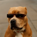 Profile picture of ickaprick