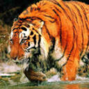 Profile picture of mobilize