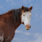 Profile picture of Lakewood