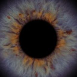 Profile picture of McNare