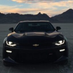 Profile picture of Honamis