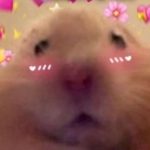 Profile picture of Olle